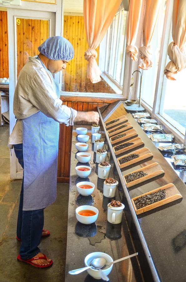 Tumsong Chiabari - The Tea Retreat Hotel Darjeeling  Exterior photo